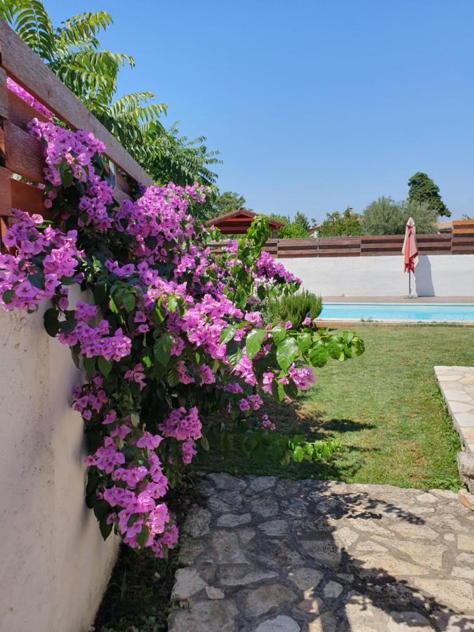 Istrska Kamnita Hisa Soncni Medulin Villa Ngoại thất bức ảnh